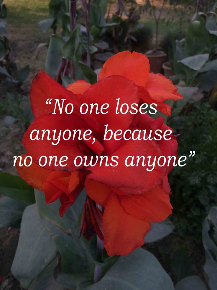 Eleven Minutes by Paulo Coelho